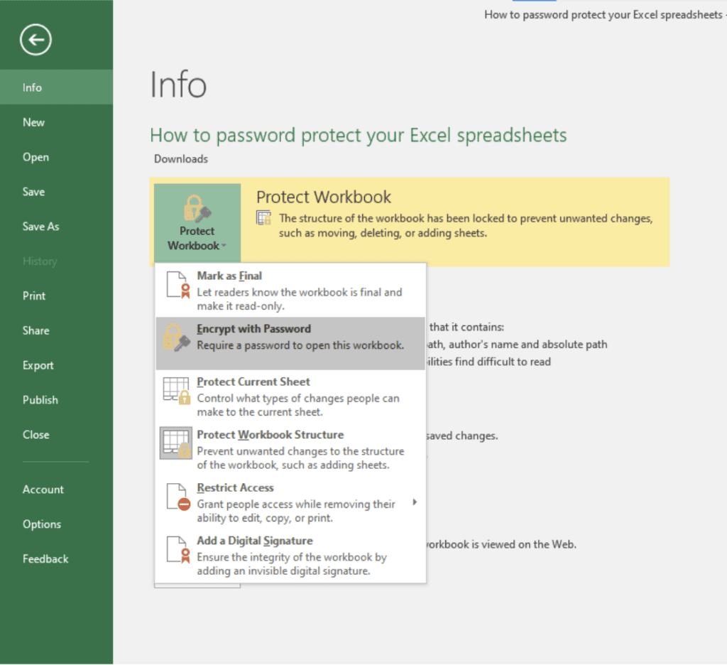 A screenshot of a Microsoft Excel workbook on the Info tab, with Protect Workbook selected and the Encrypt with Password option selected.