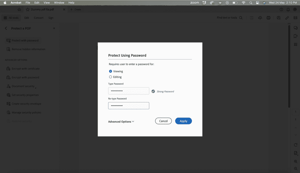 A screenshot of a PDF document with the Protect Using Password pop-up box open.